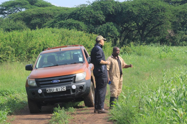 Planting Season – Second Quarter 2025 Update